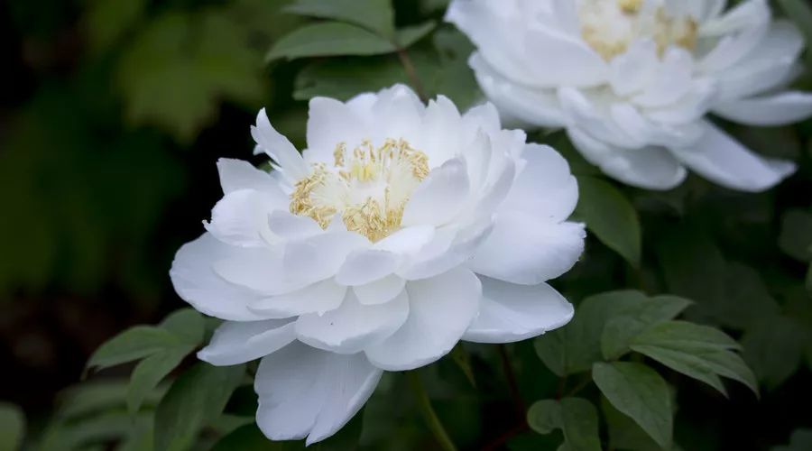 比较省钱的旅游方法,一个最省钱的旅游方法