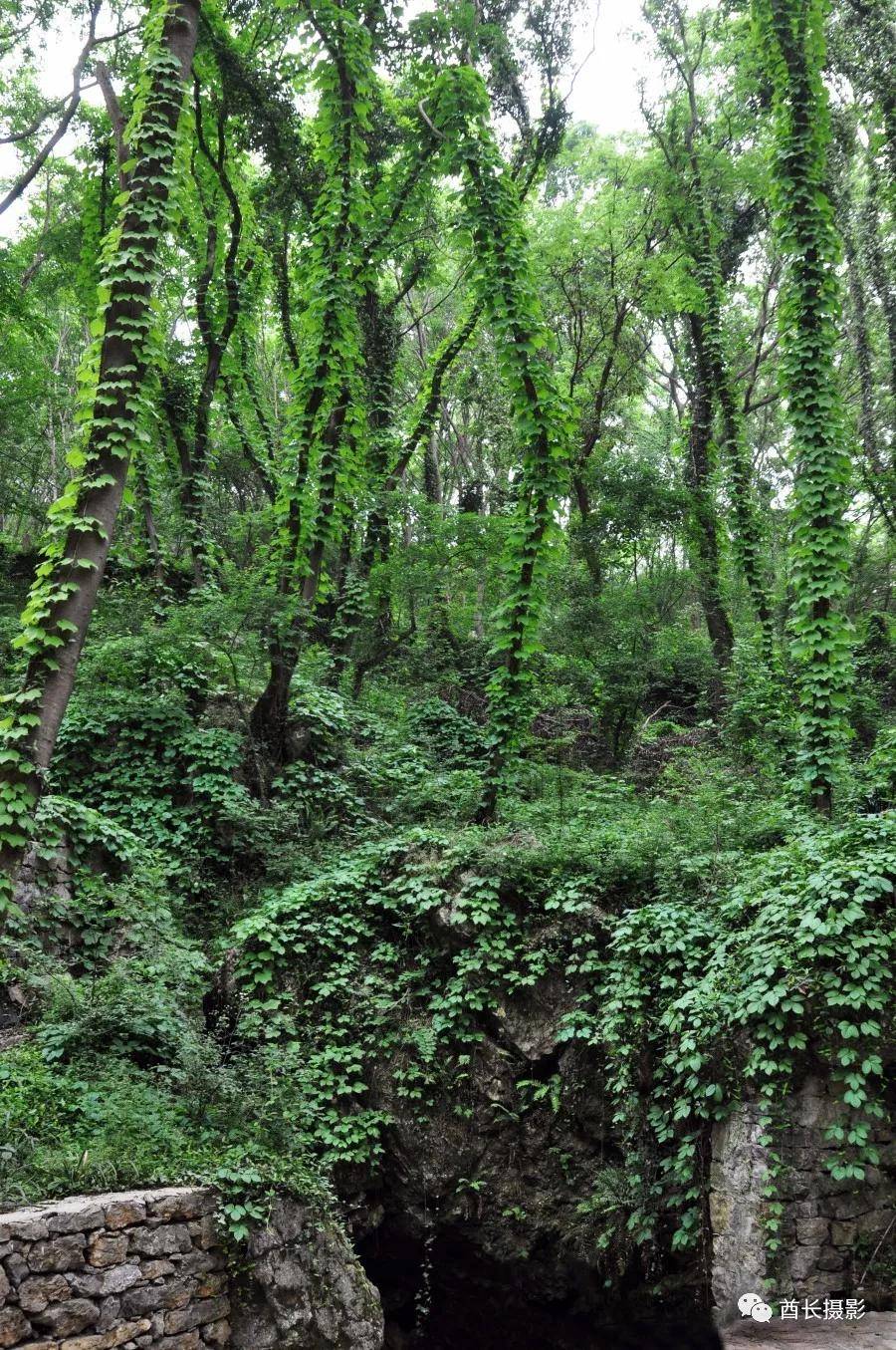 和县南京,南京悠闲的地方