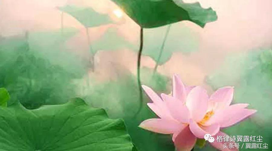 勤奋让生活更精彩 (勤奋让你更加充实)