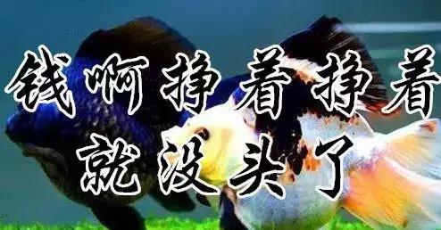 知足常乐每天都要保持开心的状态,知足常乐开心过好每一天