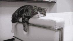 南阳市外卖排行第一的店,南阳外卖平台有哪些