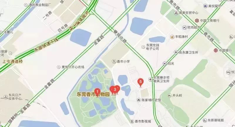 实力圈粉!熊猫兄弟今天正式亮相东莞,一大波萌图滚滚来袭