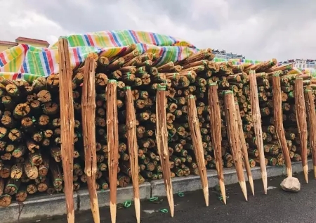 云南哪里可以过火把节,了解一下云南的火把节