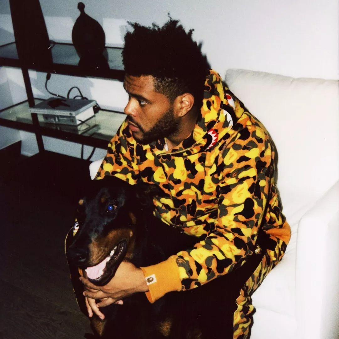 鑷敱涓嶆伅瀹濋浮,鑷敱涓嶆伅鑻辫