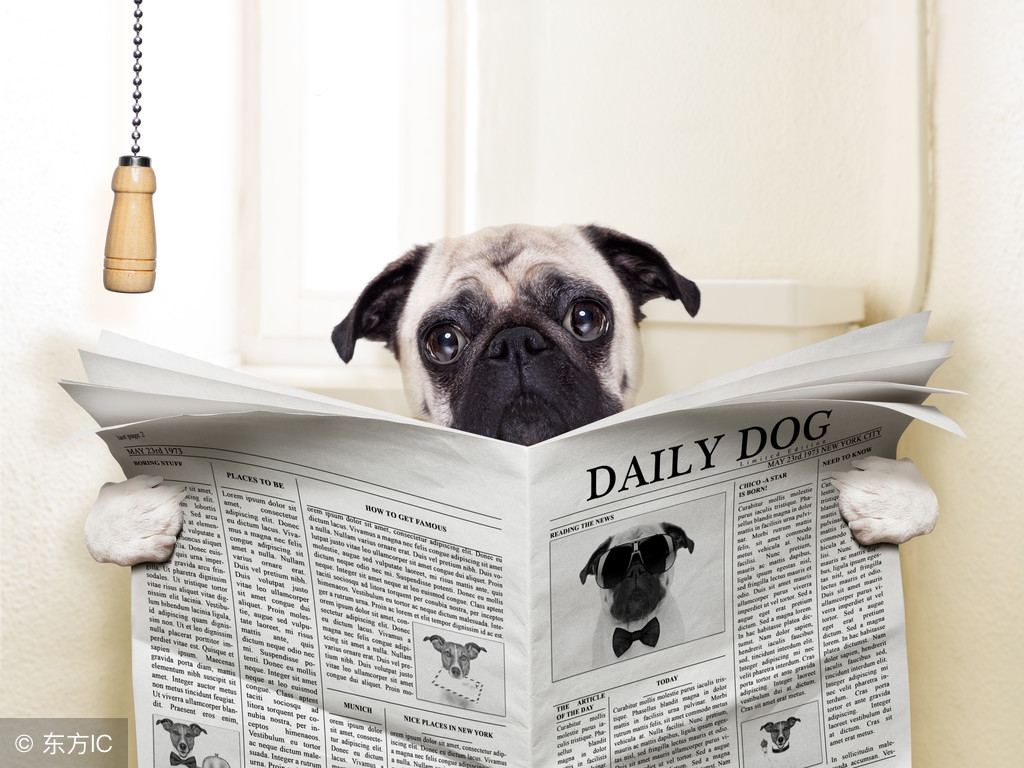 肠道大便排不干净怎么回事,肠道大便堆积拉不出来肚子疼