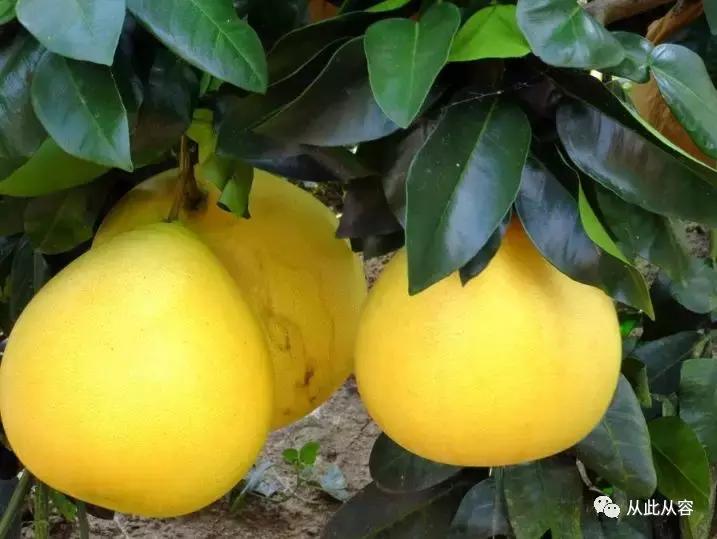 社交文案——这样聊天和发朋友圈竟然能多拿50%订单