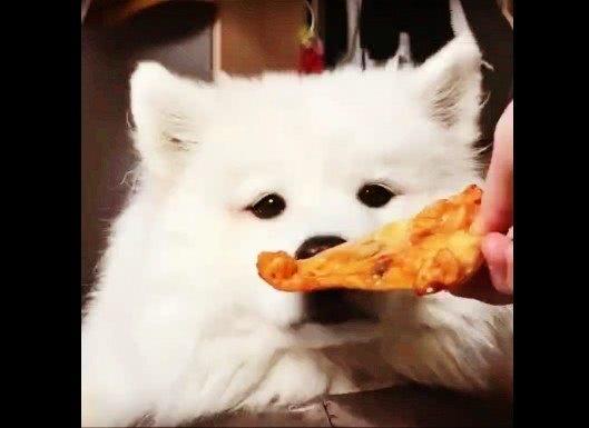 小婴儿吃雪糕了怎么办,宝宝非要吃雪糕妈妈的方式绝了