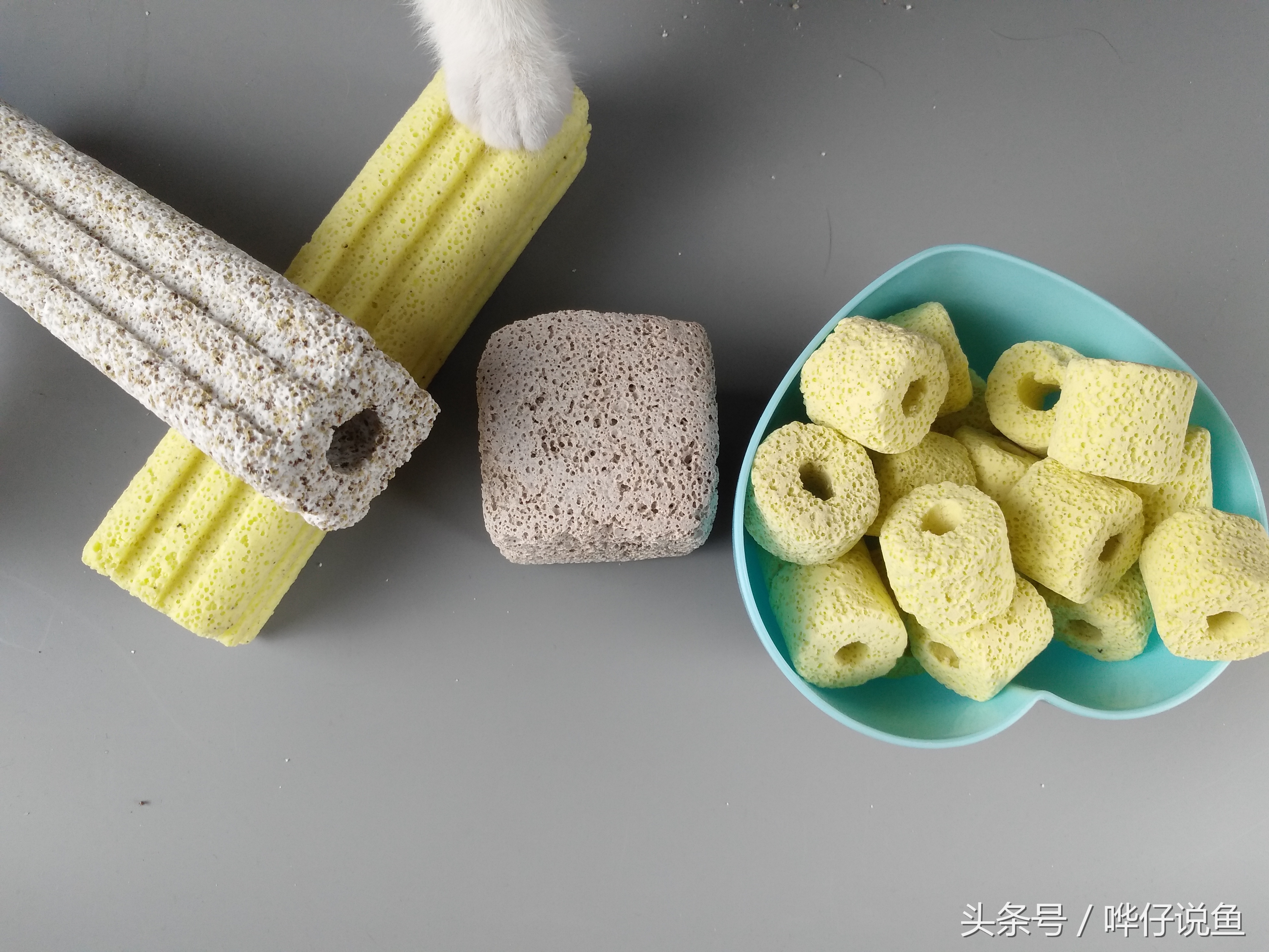 鱼缸细菌屋都需要什么,鱼缸细菌屋都有什么