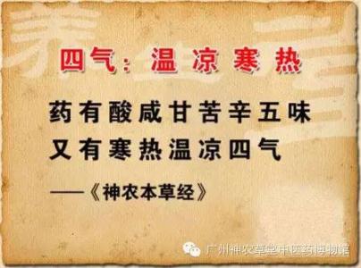 中药材400味的药性大全,药性四百味歌诀背诵