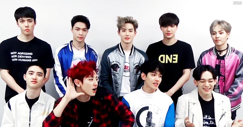 exo爱丽天团应援2017梦想演唱会,exo-l女团