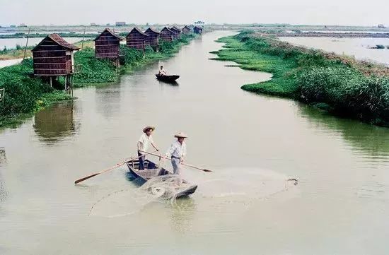 洗碗的六个坏习惯视频,洗碗的习惯和禁忌