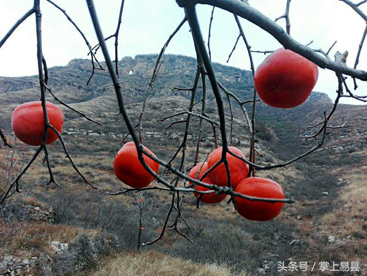 窟窿山,凤凰山星月