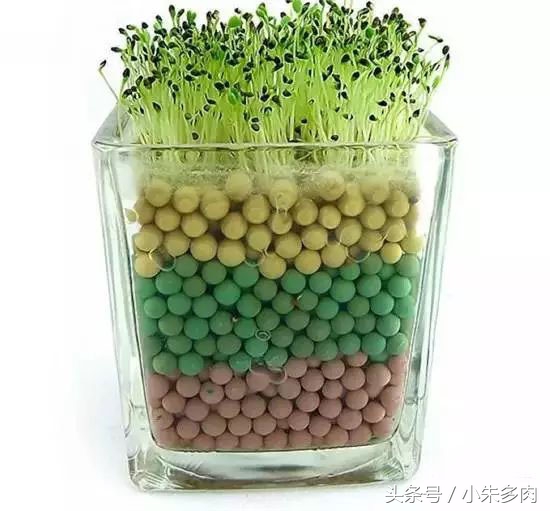 多肉颗粒土直播,多肉颗粒土批发