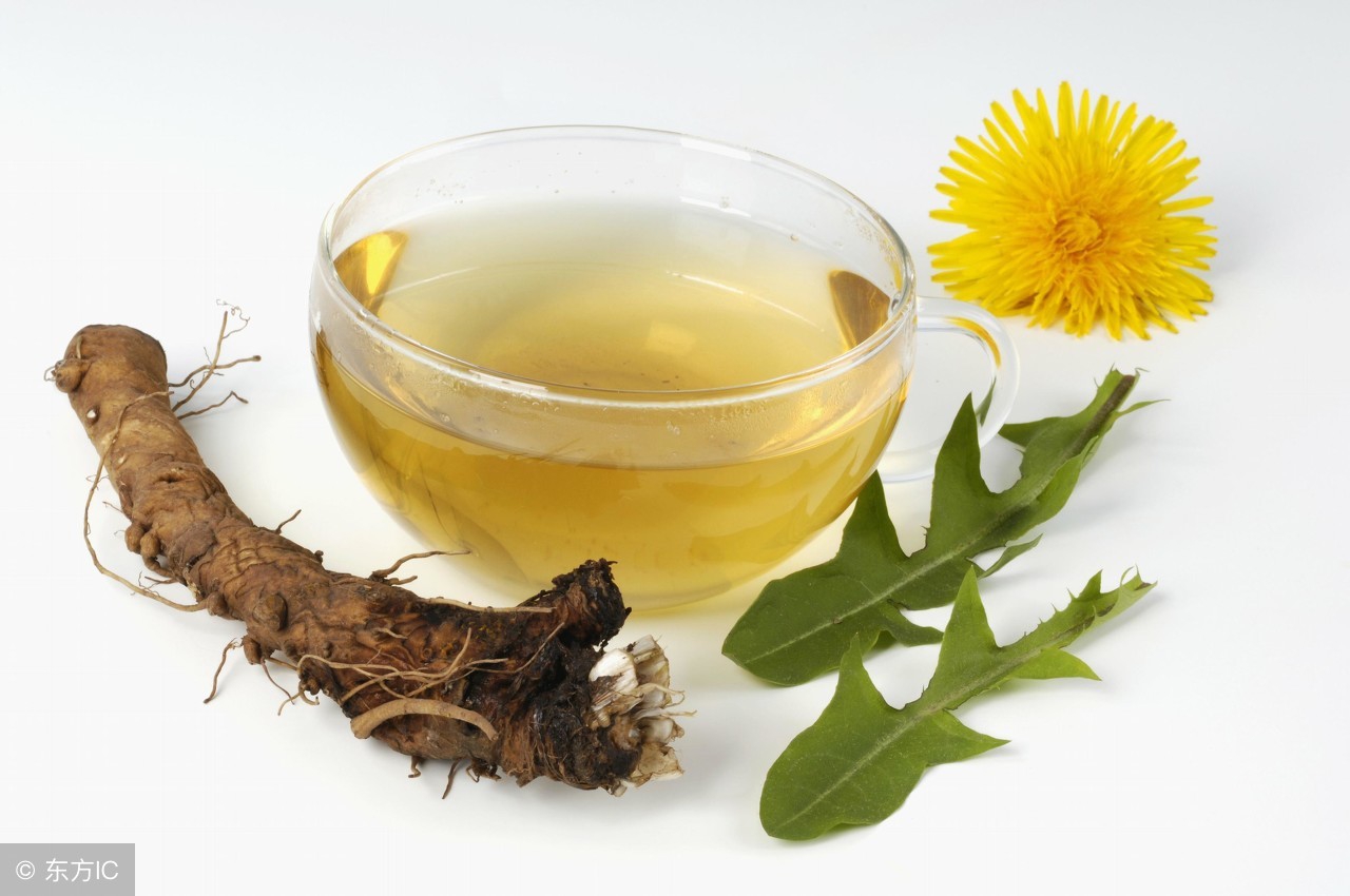 蒲公英治病的几个小偏方,蒲公英治疗很多种病