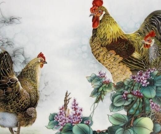 十二生肖之间的最佳搭档,十二生肖必定会复合的生肖配对