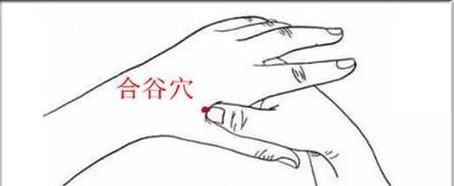 夏季养生9大最佳方法,中医吸烟清肺养肺