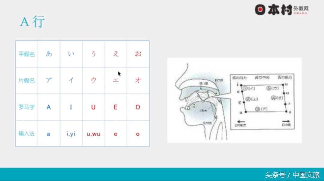 在线日语入门哪个学校好,日语网上授课平台哪个好
