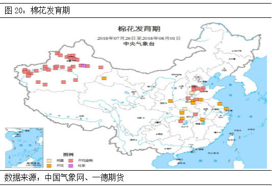 棉花期货郑棉跟随美棉涨跌,棉花郑棉期货最新走势图