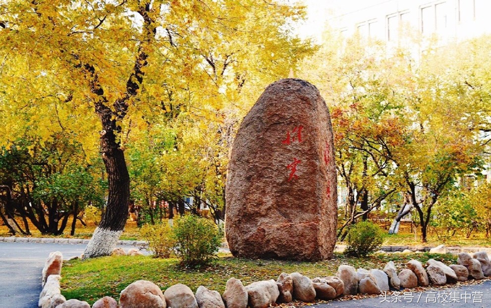 这所中医药大学没有赶上“双一流”的春风,但中药学全国最强!