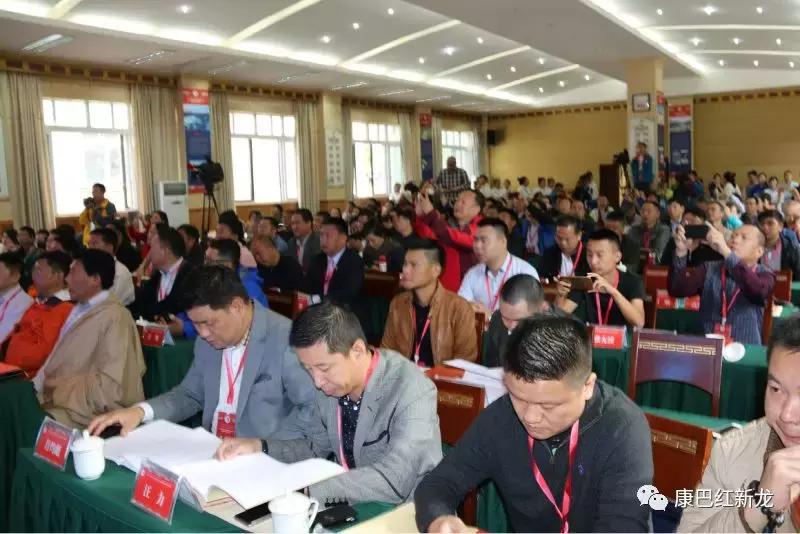 「第十八届全国红层与丹霞地貌学术讨论会暨新龙县旅游发展研讨会」今日召开，速来围观！