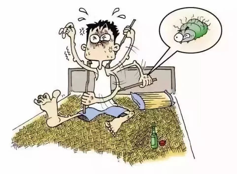 枕头里的螨虫怎么消灭,枕头上的螨虫怎么快速消灭