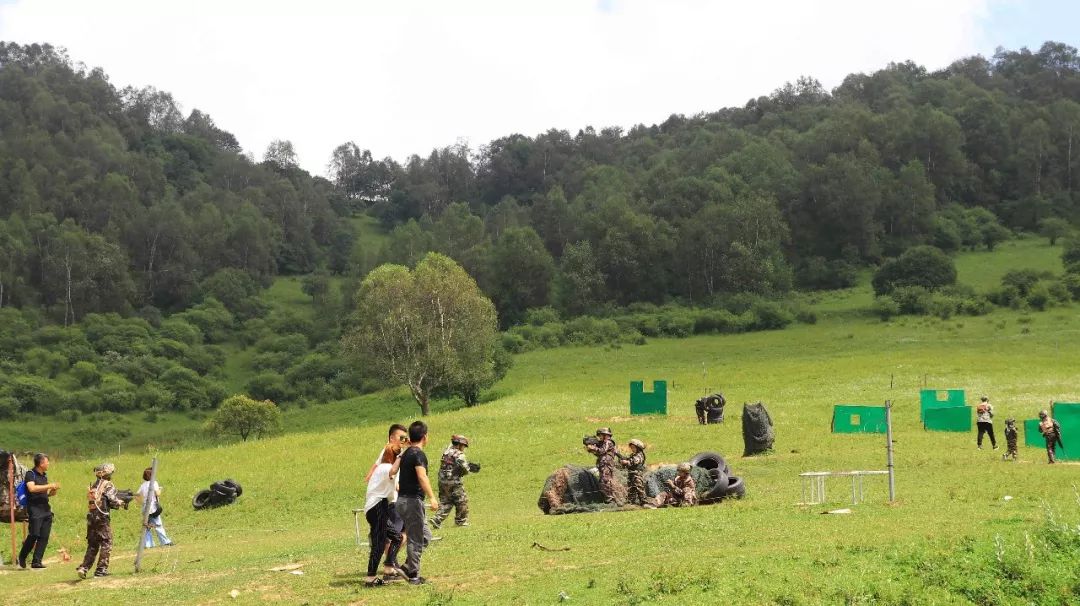 人从众的模式,人从众