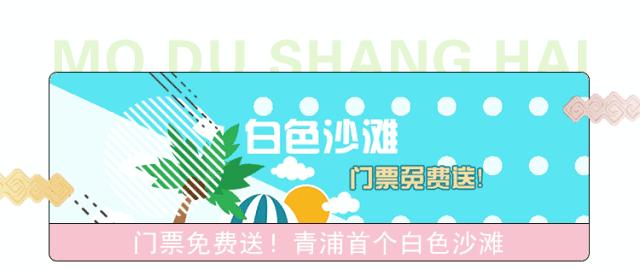 从上海坐高铁到香港需要什么条件,上海可以乘高铁去香港吗