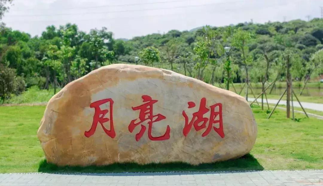 深圳最新开放公园景点图片欣赏,深圳最新的一个超级公园