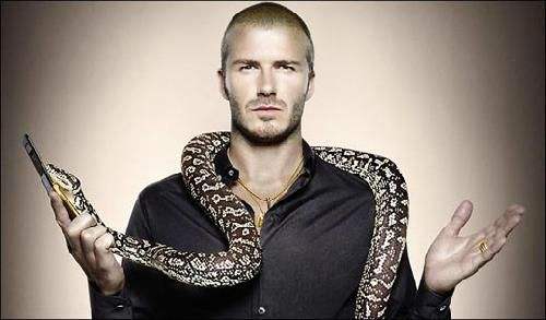 摩托罗拉5g翻盖手机最新款1999元,摩托罗拉v8巅峰