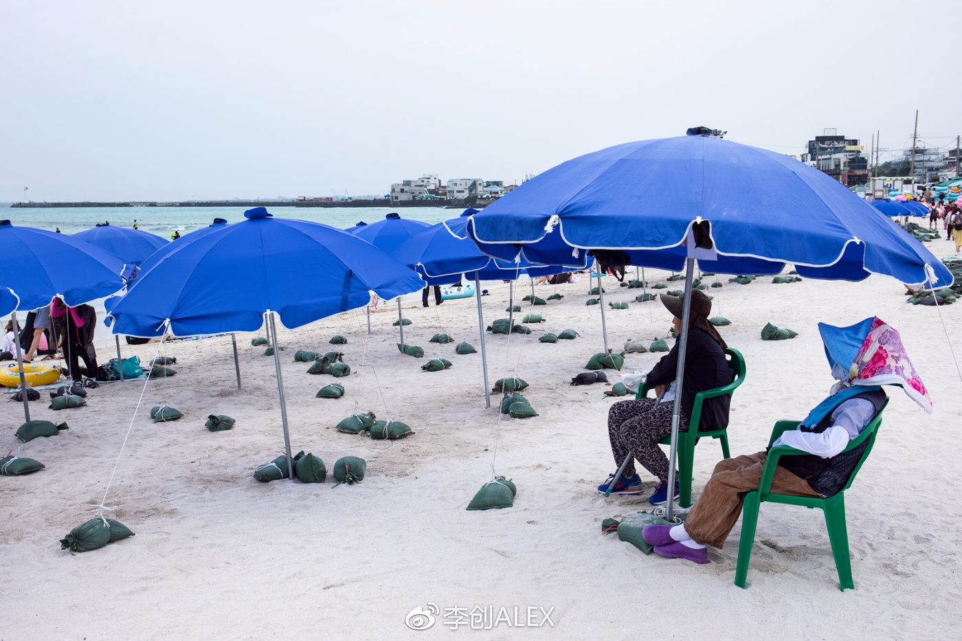 济州岛即将上演的童话世界,去济州岛旅行的感受