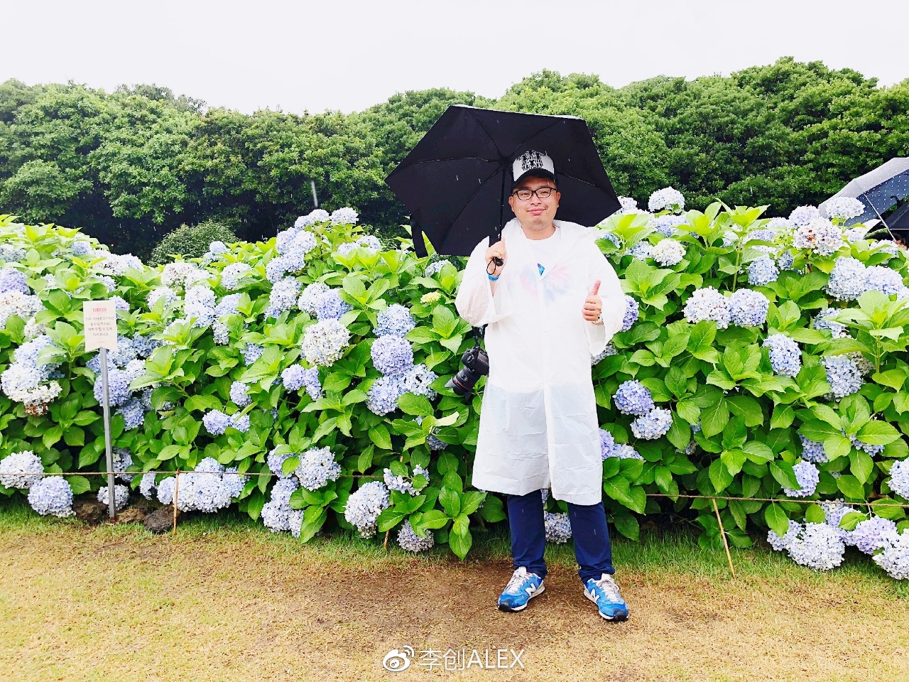 济州岛即将上演的童话世界,去济州岛旅行的感受