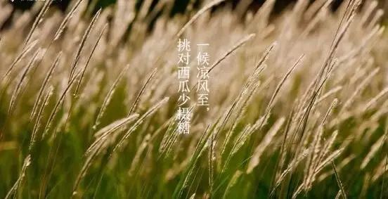 有哪些关于立秋的小知识,今日立秋有啥说道吗