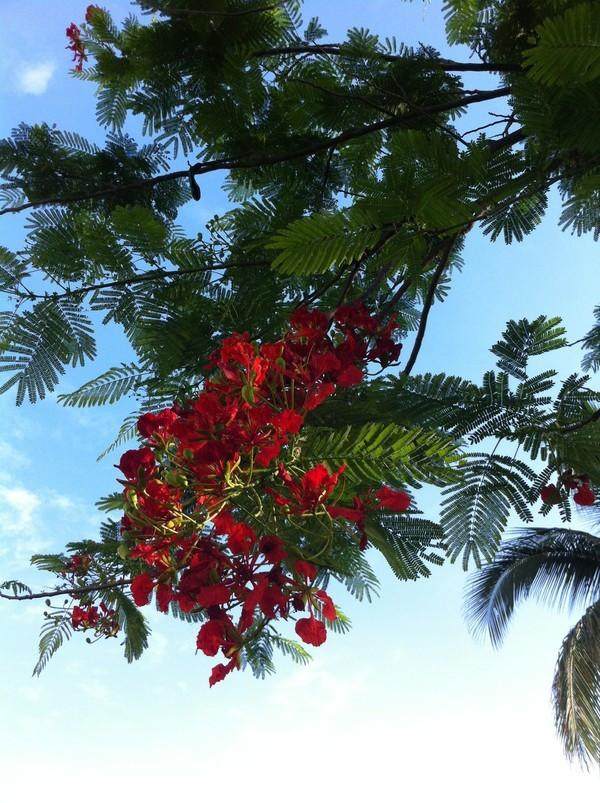 三亚三日游带孩子攻略,三姐妹游三亚