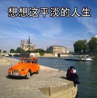 速看！刚刚发布大消息！8月起牙齿矫正、种植牙这10项费用全免！