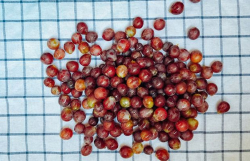 自制葡萄酒长白膜还能喝吗,自制葡萄酒可以煮沸杀菌吗