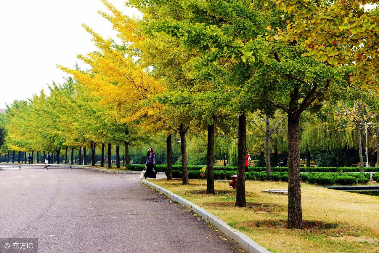 脸皮薄有什么好办法,脸皮太厚怎么办怎么让脸皮变薄