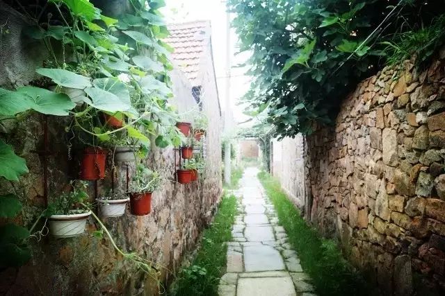 乳山周末好去处,乳山踏秋好去处