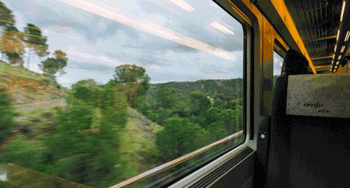 从上海坐高铁到香港需要什么条件,上海可以乘高铁去香港吗