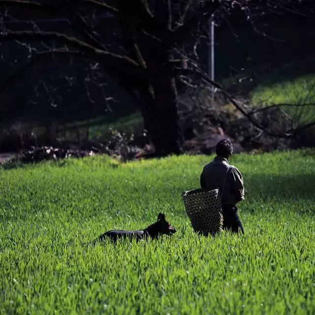 立秋暑去凉来一叶知秋,立秋暑气渐敛一叶知秋
