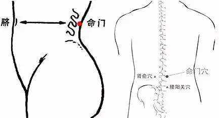 女人腰痛吃什么最好效果最快,女人腰痛腿脚酸软无力是什么原因