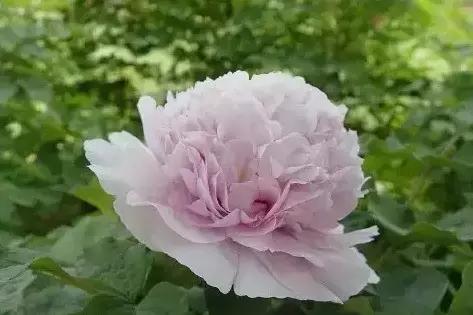 8.8发财日的祝福,8月18日发财日早安祝福图片