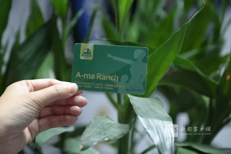 存了卡后商铺黄了钱找谁要,存银行的钱消失了怎么投诉