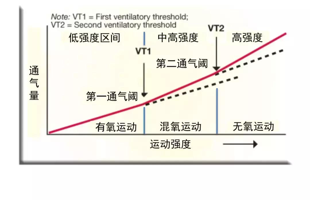 跑步风太大喘不上气怎么办,跑步喘得不行怎么治