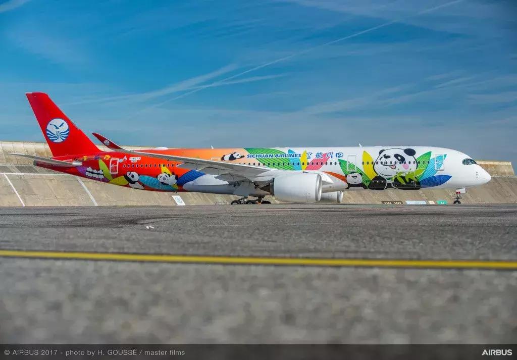 川航客机奇迹归来,川航第一架宽体客机