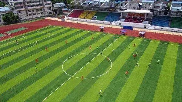 成都155个公共体育场馆免费,成都体育场有序开放