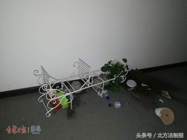 长春元洲装饰案件,长春市元洲装饰有限公司