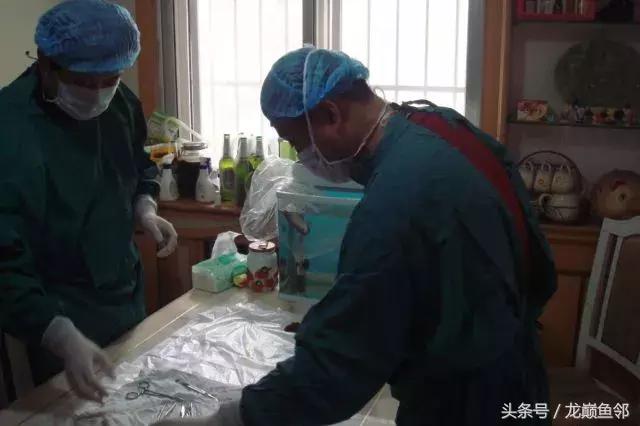 龙鱼撞缸失鳔抢救多久能恢复,龙鱼失鳔最急用的方法