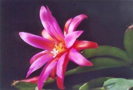 男生祝我幸福,男孩祝心爱的女孩幸福