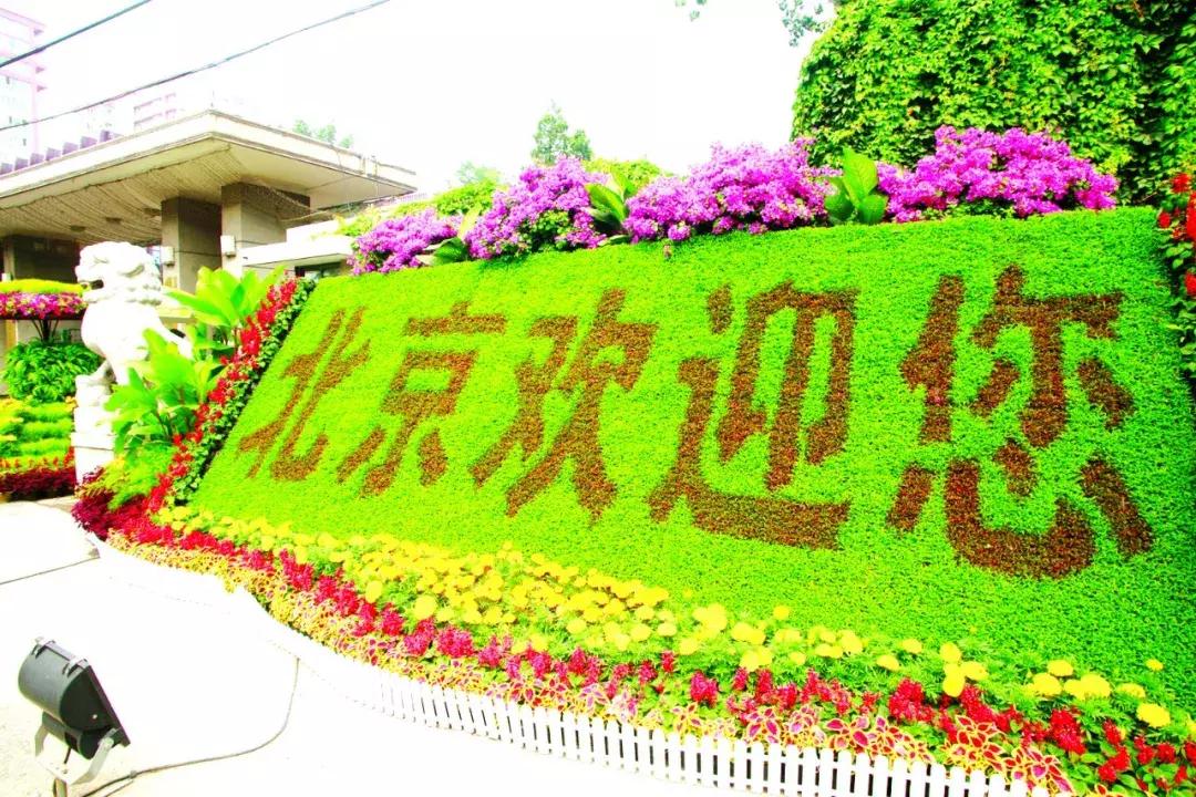 1990年北京海淀区老照片,奥运会老照片100张