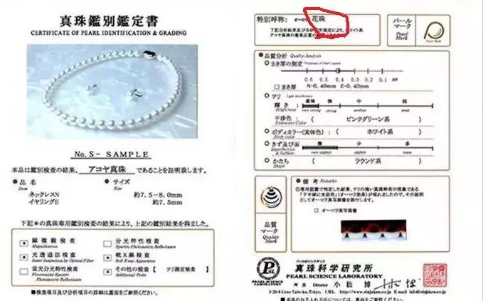 珍珠知识问题解答视频,小火说视频